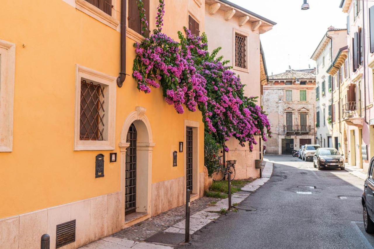 Domus Verona - Residenza Merici Екстер'єр фото